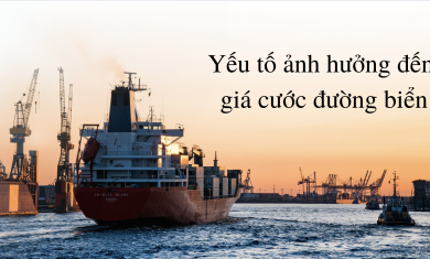 Các yếu tố làm biến động giá cước đường biển