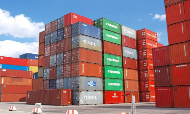 Dịch Vụ Kiểm Rỗng Container - Giải Pháp Chuyên Nghiệp Tại Phước Tạo Logistics