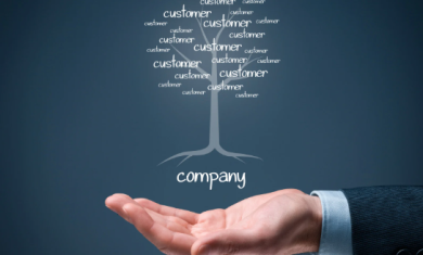 LỊCH SỬ HÌNH THÀNH 