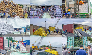 Dịch Vụ Đóng Rút Ruột Container Tại Bãi - Phước Tạo Logistics